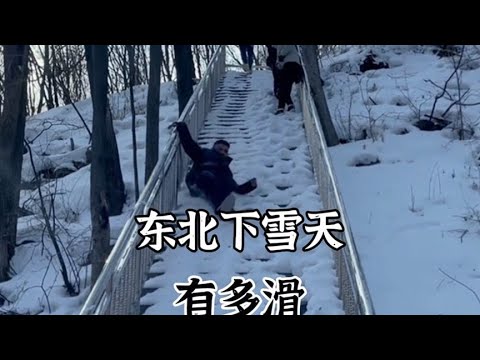 盘点东北下雪天有多滑，不一样的溜冰场。#雪地里撒欢【果粒逗你笑】