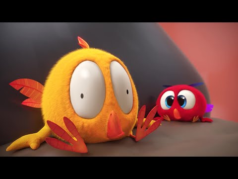 Where's Chicky? Funny Chicky 2022 🏍 THE MOTORBIKE | Cartoon in English for Kids | New episodes