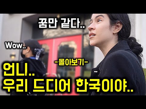 【몰아보기🇲🇽】 한국에 오는게 꿈 이었던 멕시코자매의 대망의 '한국 방문기'