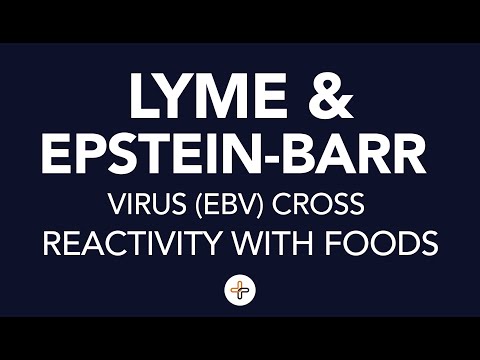 Lyme and Epstein-Barr Virus (EBV) Cross Reactivity with Foods