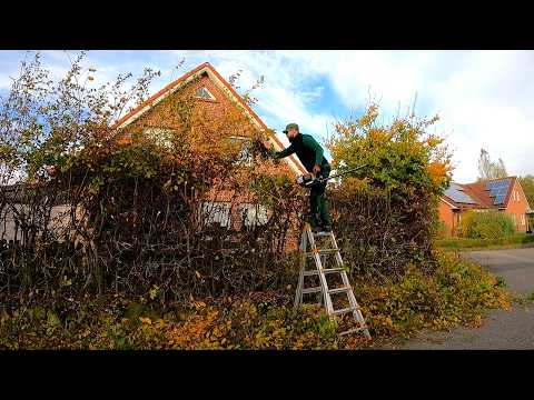 "We DIDN'T Pay You ENOUGH" Said The Homeowner When I Cut The Hedge