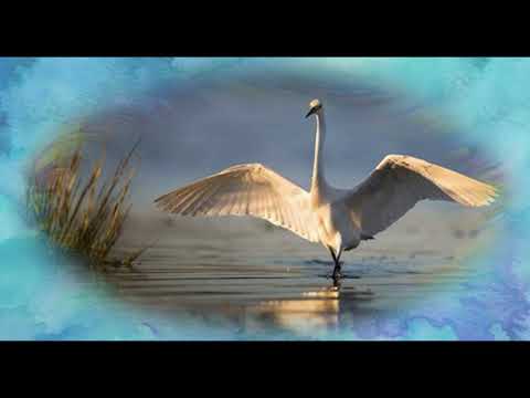 "I Am a movement and a rest".......Rupert Spira