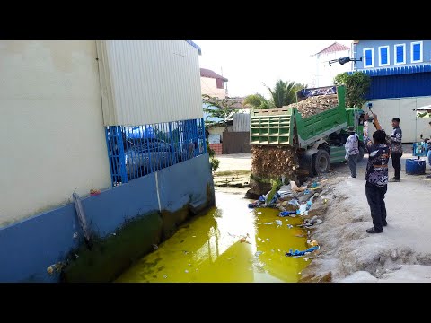 AMAZING VIDEO Bulldozer And Trucks Start To Pushing Rock To Remove Dirty Area and Forest