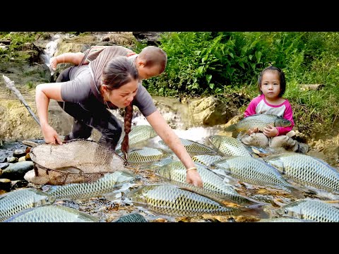 100kg GIANT FISH Harvest in the RAIN! Mom Cooks Delicious Porridge for Her Little Girl