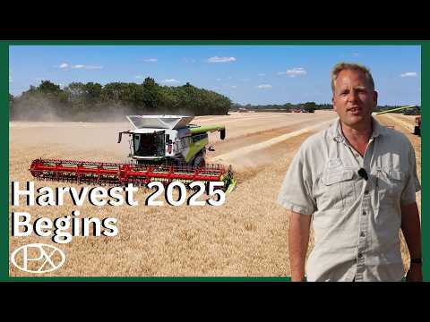Harvest 2025 Begins! Barley, Combines & Surprising Yields at P.X. Farms