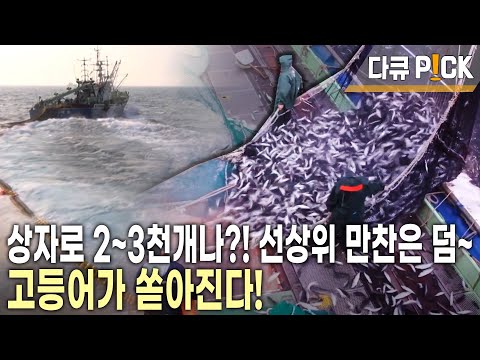 6척의 배가 1조로 움직인다! 바다 밑 큰 무리의 고기떼를 가둬라! 1년에 한 번 잡기 어려운 최상품 고등어를 잡이! (KBS 20141105 방송)