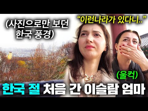 높은 산 위에서 본 한국의 아름다움에 끝내 눈물 흘리는 아제르바이잔 엄마.. (한국 절 첫 경험)