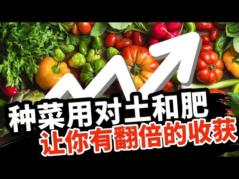 种菜用对了土和肥，让你的努力，带来翻倍的收获！种菜买什么土壤什么肥料，看完不再疑惑！
