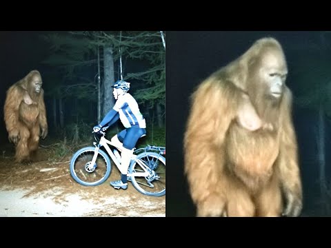 BIGFOOT HUNTED A CYCLIST FOR 7 MILES — AND THE GO-PRO CAUGHT THE MOMENT THEY STRUCK!