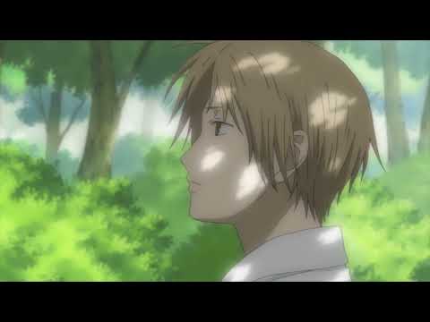 The Cat And The Book Of Friends