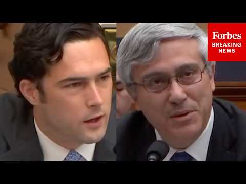 'If Somebody Crosses The Border Illegally, What Should Happen To Them?': Gill Grills Dems' Witness