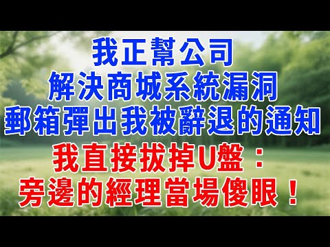 我正幫公司解決商城系統漏洞，郵箱彈出我被辭退的通知，我直接拔掉U盤：旁邊的經理當場傻眼！#生活經驗 #人生感悟 #故事分享 #职场 #为人处世 #打脸