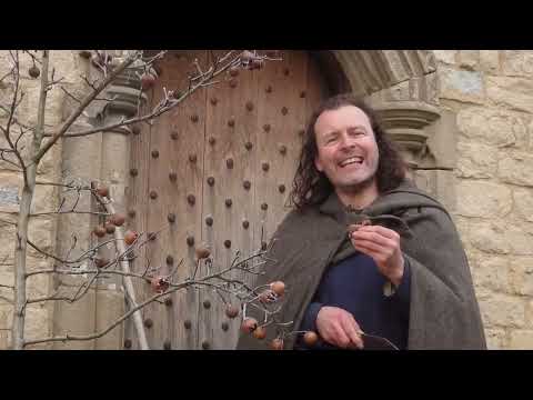 This FRUIT had such a BAD name they HID it from history!