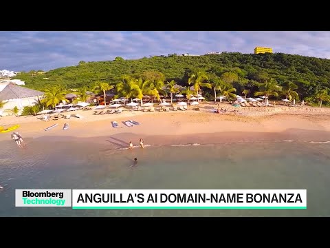 Anguilla's Domain-Name Bonanza