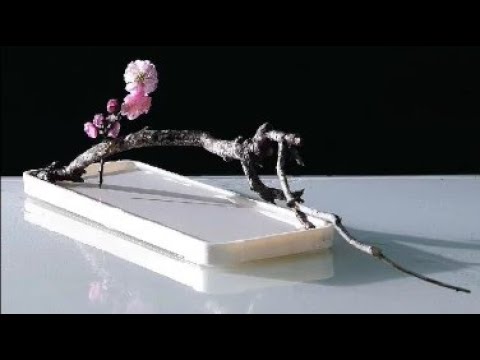 插花藝術  跟倪誌翔老師學插花 2   Ni Zhixiang  ikebana