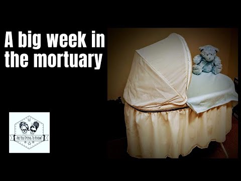 In the mortuary - babies, pacemakers and a moving family affair