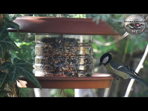 How to easily make a DIY bird feeder - DiY Art Ideas