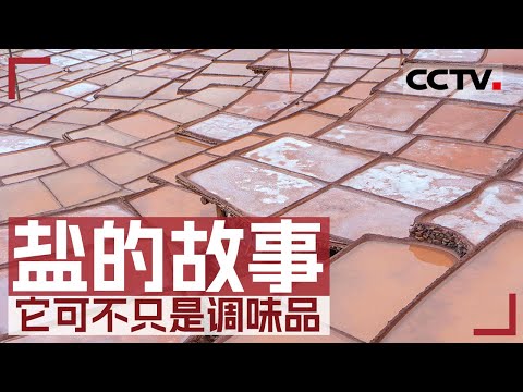 盐的故事：盐可不只是调味品！带你重新认识这个影响人类文明的“白色黄金” 【CCTV纪录】