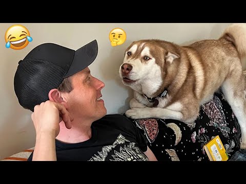 I dare you not to LAUGH at these FUNNY DOGS 😁🦮 - Best Funny Animals Videos 2025 #89