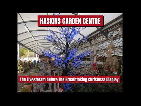 ***LIVESTREAM*** HASKINS GARDEN CENTRE: The Livstream before The Christmas Display 🎁🎄🎁 #christmas