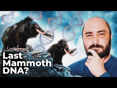 The Strange DNA of the last mammoths
