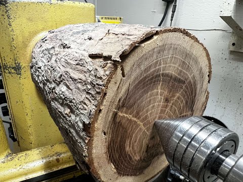 You Won’t Believe This Came from a Red Bud Log