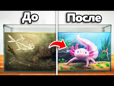 Я Преобразил Заброшенный Дом Аксолотля