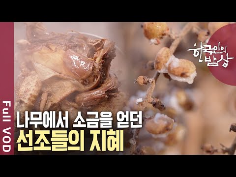 [내레이션✨고두심] 밥상을 살리는 한 꼬집! 겨울 소금. 지리산 뽕소금 & 붉나무 소금 & 자죽염 | 한국인의 밥상 | KBS 20241212 방송
