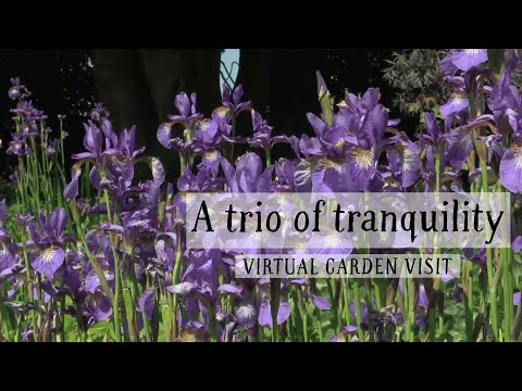 Uppingham Gardens; a trio of tranquility