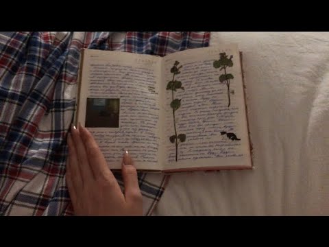 Личный дневник №28 знакомство