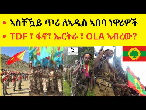 ኣስቸዃይ ጥሪ ለኣዲስ ኣበባ ነዋሪዎች   //   TDF ፣ ፋኖ፣ ኤርትራ ፣ OLA ኣብረው ሊሰሩ?