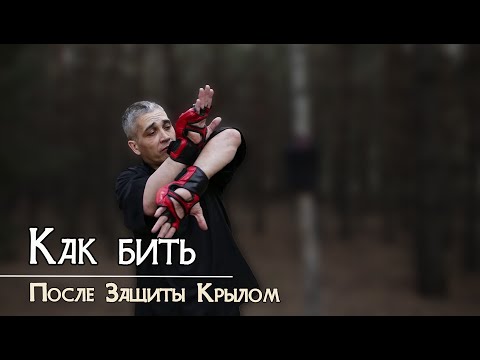 После защиты крылом можно бить....
