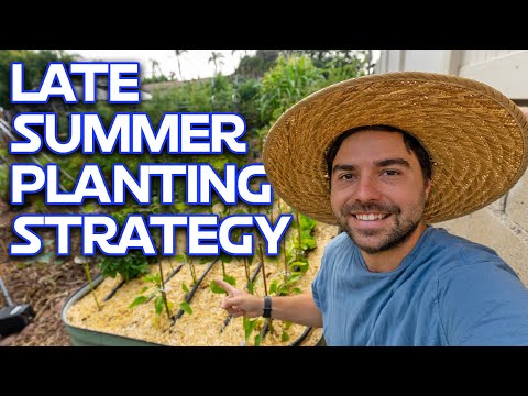 What I Am Planting In August & How I Defeated Powdery Mildew