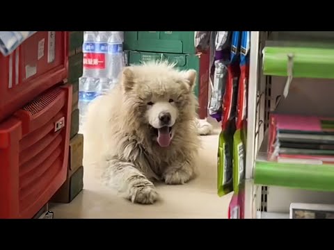 If you come back, I'm keeping you!