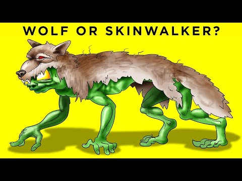 The Most BELIEVABLE Alien Encounters Of All Time