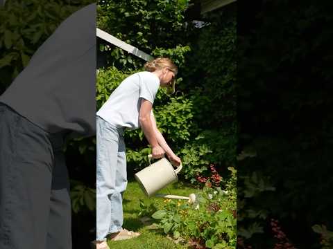 Gärtnern kann jede:r lernen! 🌱