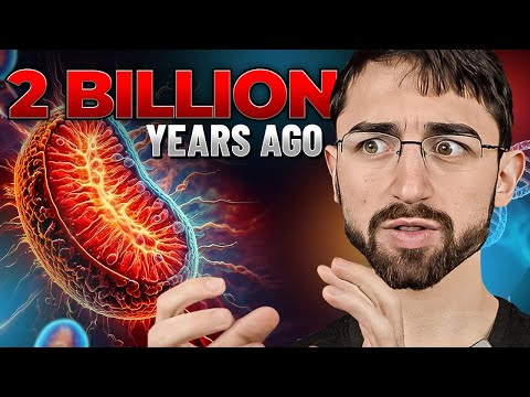 Is this the REAL Root Cause of Autoimmune Disease?