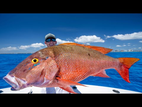 SECRET Spot for GIANT Snapper! Catch Clean Cook (How to catch mutton Snapper)
