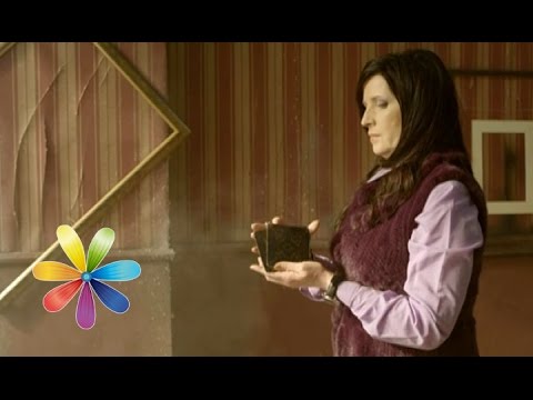 5 бытовых примет. Что правда, а что – вымысел? - Все буде добре - 10.02.15 - Все будет хорошо