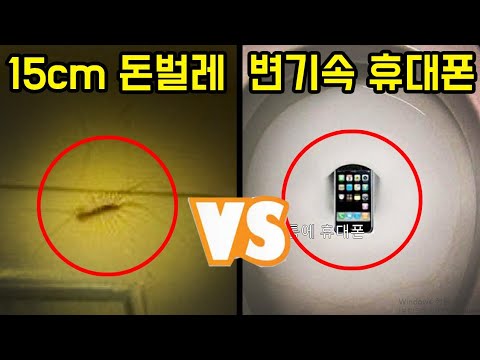 둘중 뭐가 더 싫으세요..?