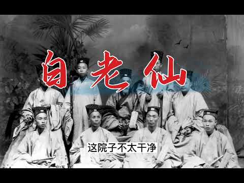 白老仙 东北白仙 保家仙轶事【鬼话连篇】民间故事 鬼故事 民间传说 鬼怪奇闻 灵异故事 鬼怪离奇 长篇单口故事  单口长篇故事 评书