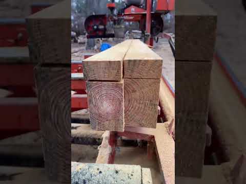 HollmansOutdoorSolutionsLLC is live!