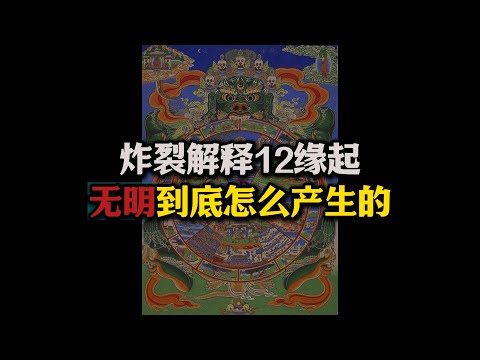 无明是怎么产生的？炸裂解释12缘起！宇宙是结构是什么样？#十二缘起#无明#宇宙#佛法