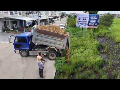 First Started Landfill New Project!5TTruck Pouring Soil Delete canalWith Skill Dozer D31 PushingSoil