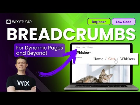 Improve User Navigation by Adding Breadcrumbs to Dynamic Pages | Wix Website Tutorial