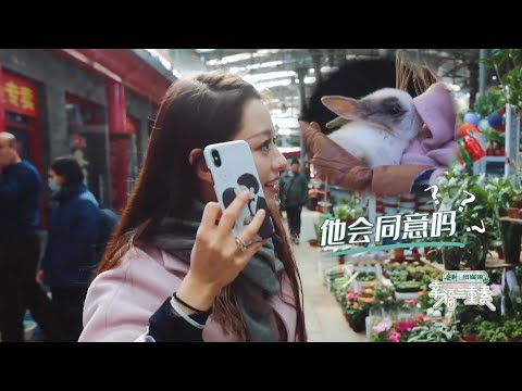 吉娜为了买兔子和郎朗撒娇，买了就要负责 | 幸福三重奏S2