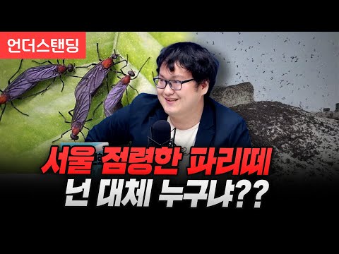 서울 점령한 정체불명 파리떼 '러브버그'. 넌 대체 누구냐?? (갈로아 과학웹툰작가)