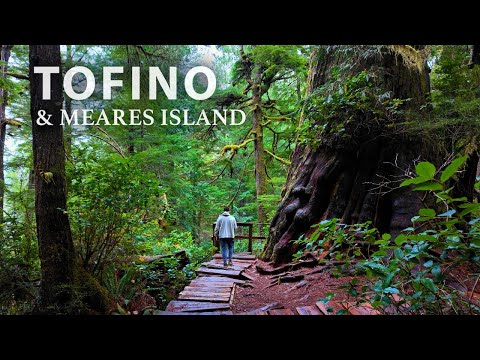 A Peaceful Journey Through Tofino's and Meares Island Primal Beach Trails, West Coast of BC Canada