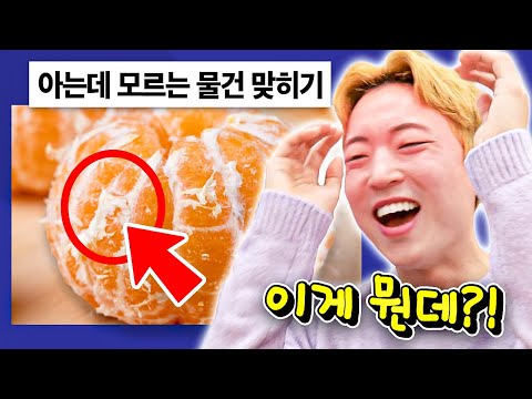 아는데 모르는 물건 맞히기 해봤습니다 ㅋㅋㅋㅋ [웃소 게임즈]