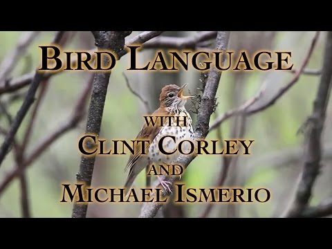 Bird Language with Clint Corley and Michael Ismerio Part 1